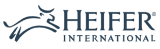 Heifer